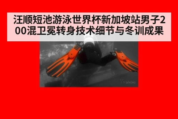 汪顺短池游泳世界杯新加坡站男子200混卫冕转身技术细节与冬训成果